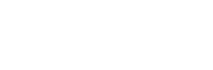 Te Matatini - Kapa Haka Aotearoa. 